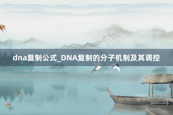 dna复制公式_DNA复制的分子机制及其调控